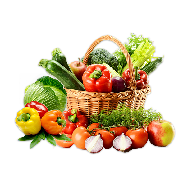 经验丰富的餐饮专业化团队